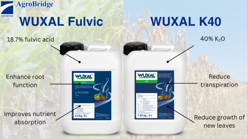 3 - Cropped High Res Water Stress EN