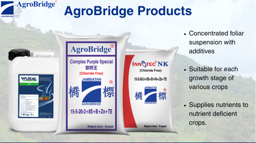 5 - Cropped High Res Nutrient Stress EN