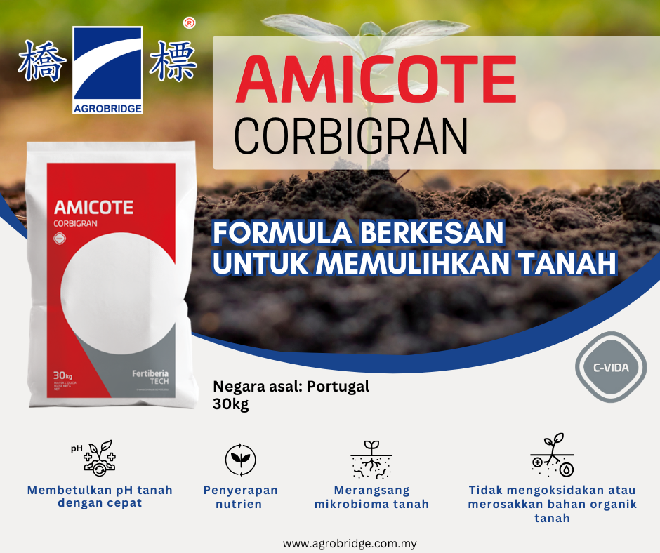 AMICOTE WEB BM