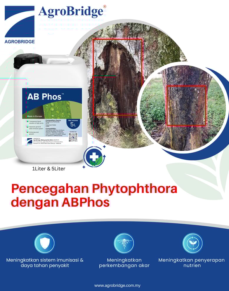 BM ABPHOS WEB 220525