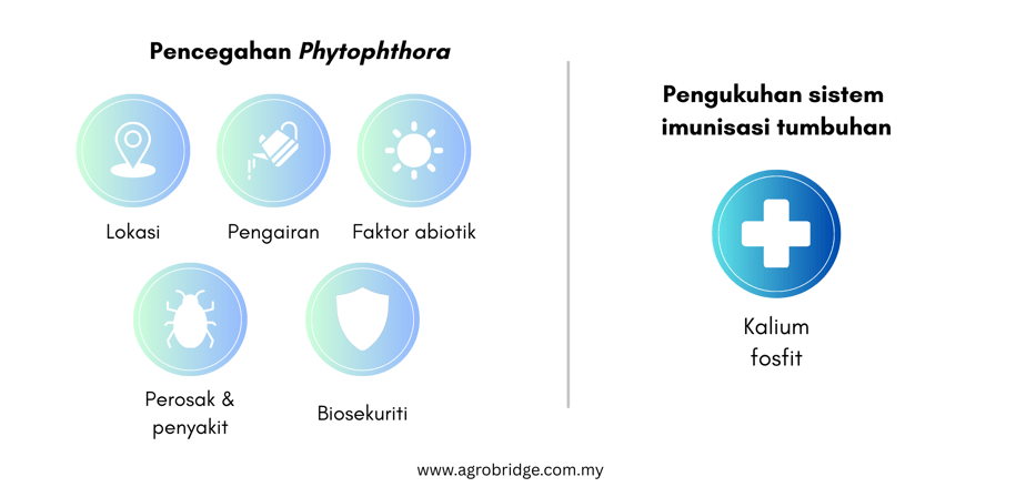 BM Preventing Disease Occurrence