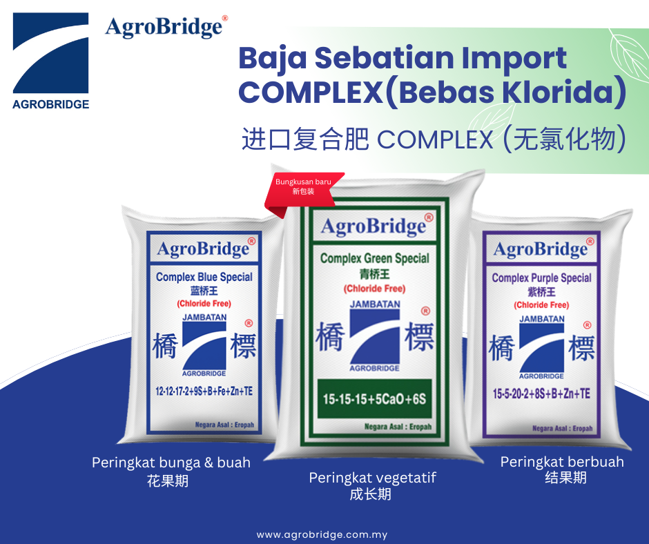 Baja Sebatian Import (Bebas Klorida) (5)-1