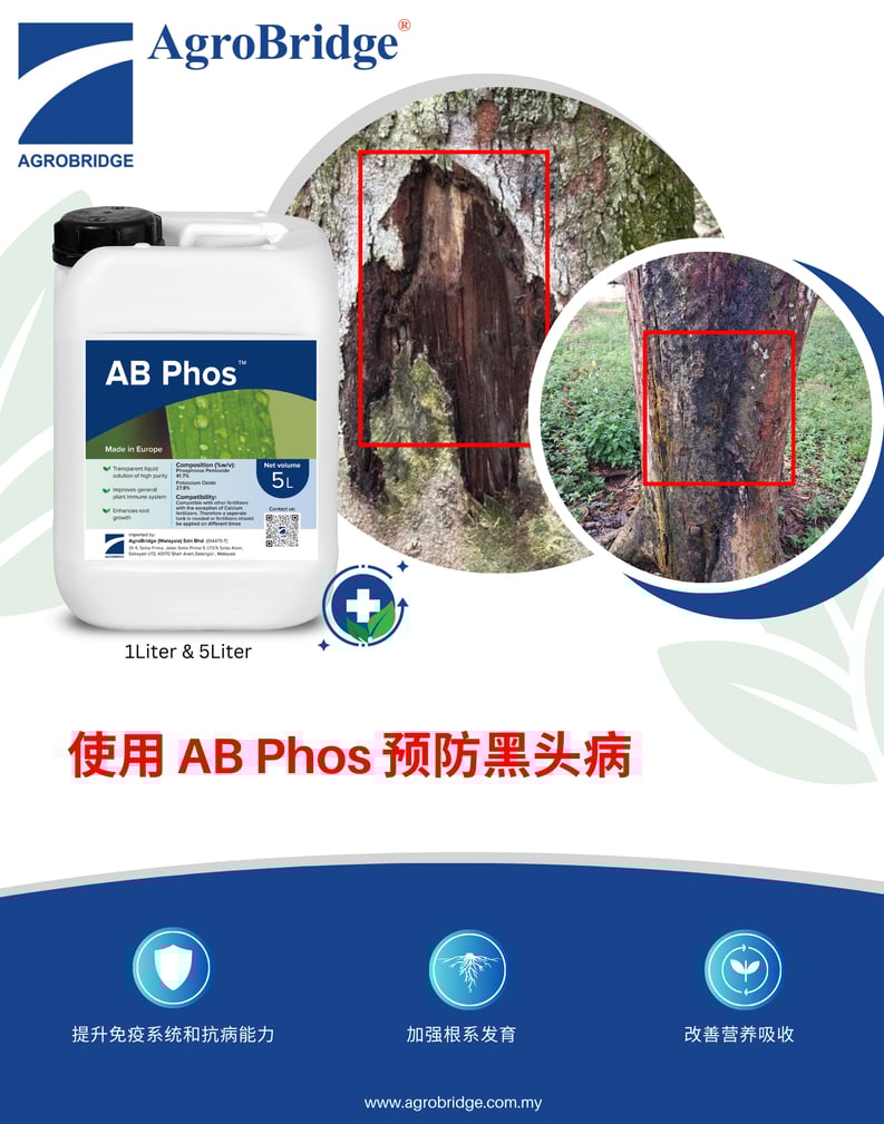 CN ABPHOS WEB 220525