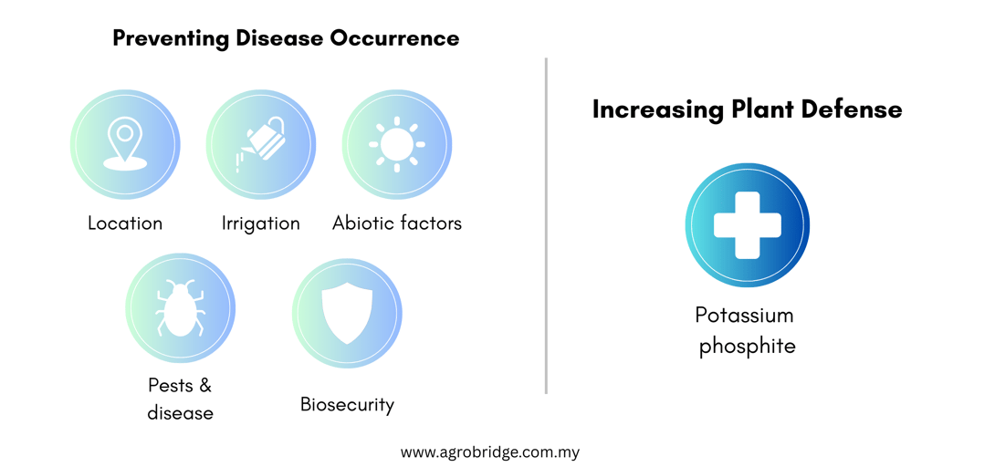 ENG Preventing Disease Occurrence