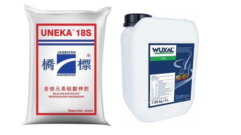 UNEKA and WUXAL k40