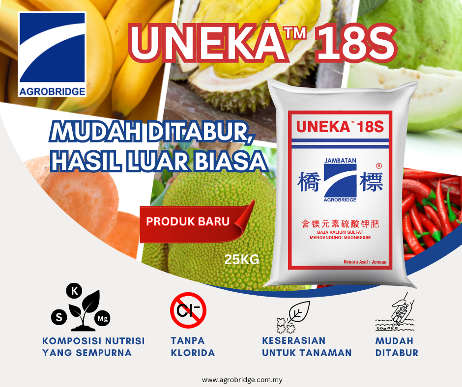 UNEKA 18S BM