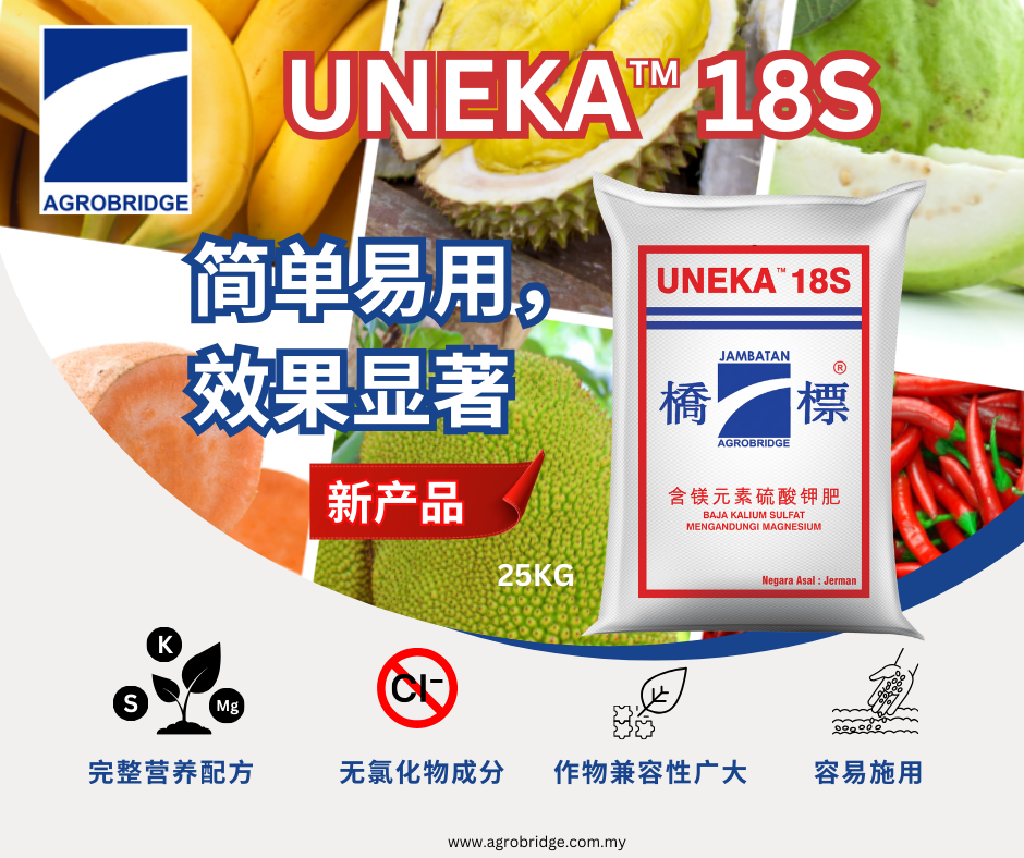 UNEKA 18S CHINESE