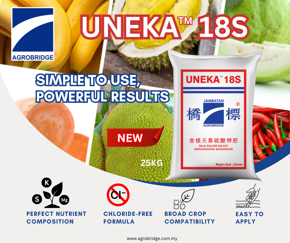 UNEKA 18S ENG