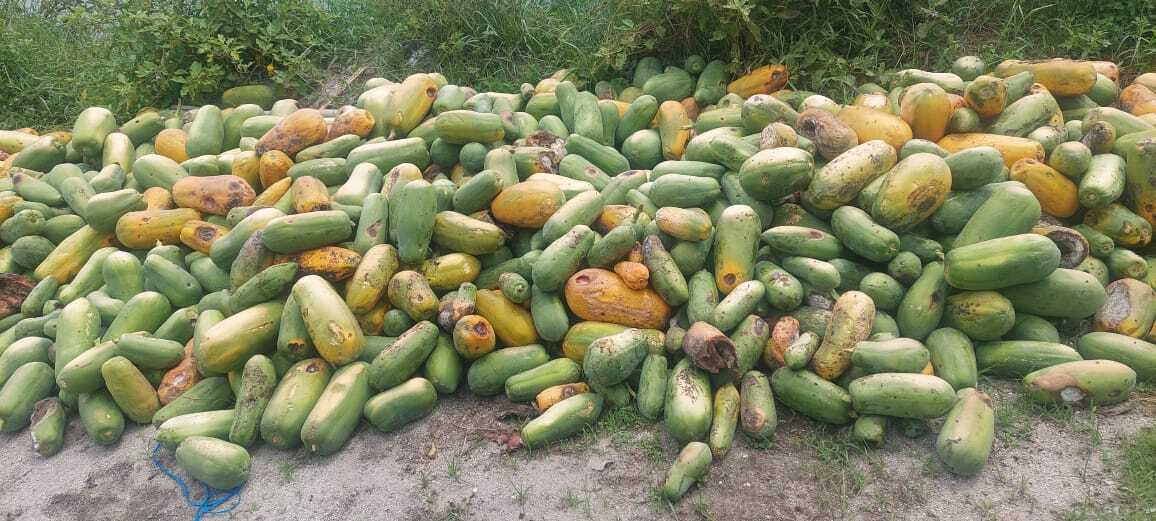 WhatsApp Image 2026-04-16 at 16.26.33