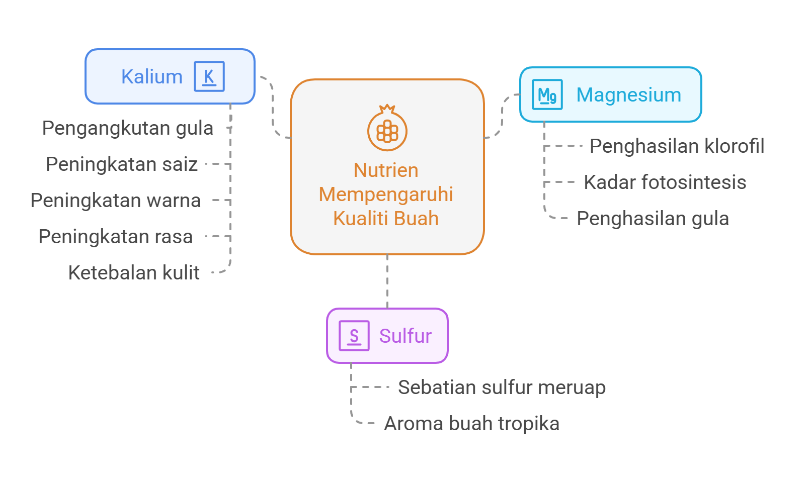 UNEKA 18S DIAGRAM