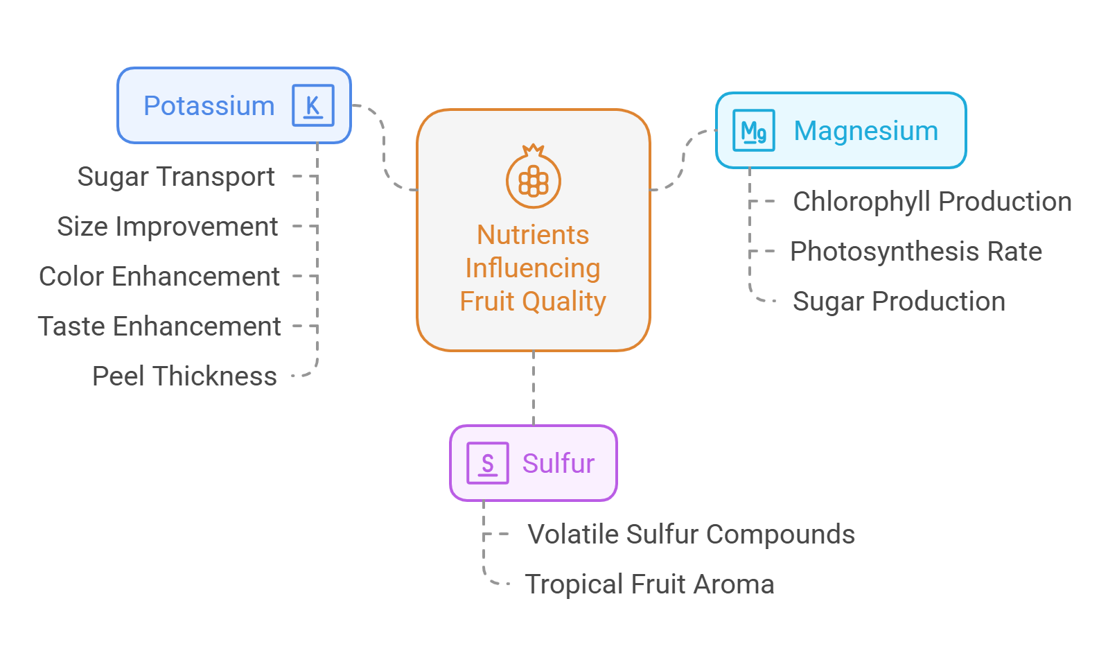 Nutrients influencing fruit quality agrobridge