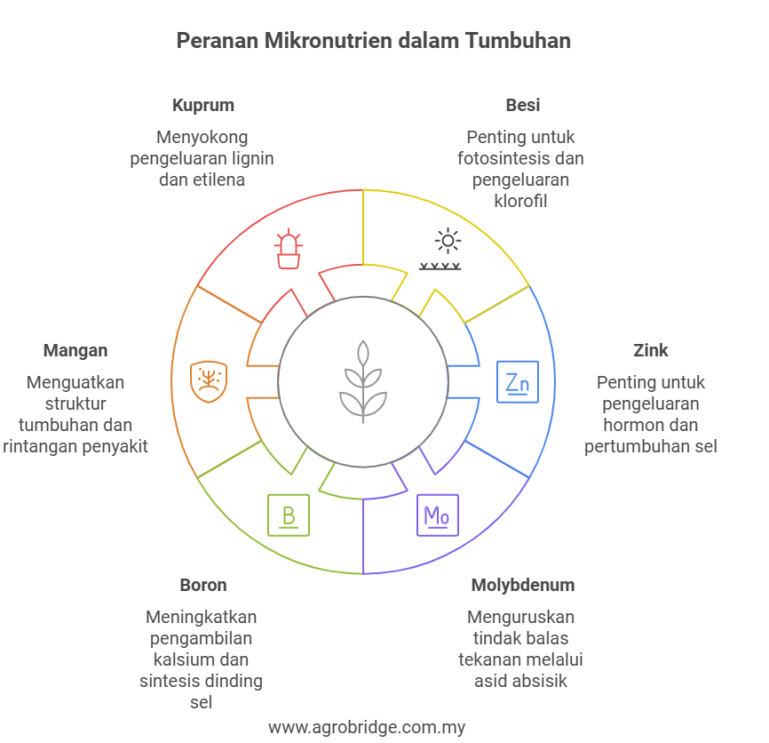 micronutrien BM v2