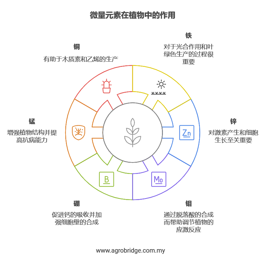 micronutrient CN