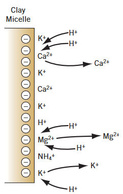 soil pH